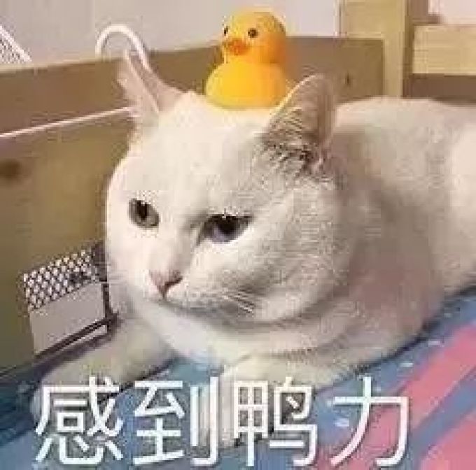 爱囤货,其实是种病...