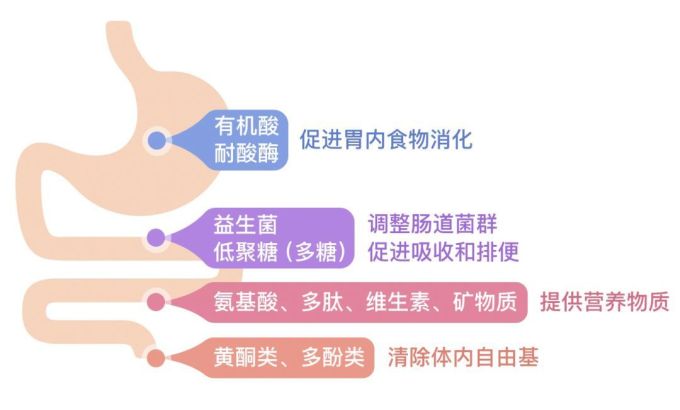 火上天的酵素到底有没有用?今天给你撕个明白