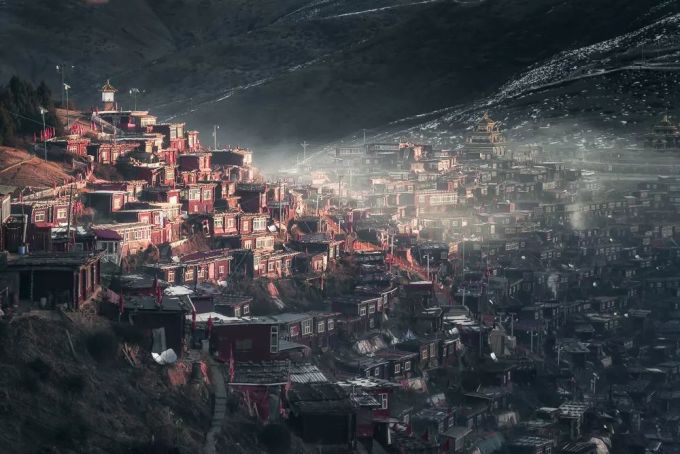 “碳”计划专访 | 王佳:图虫维权助我获赔1万元