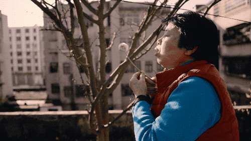 全部素人出演,成本仅1500元,这部国产片却让王传君流着泪叫好