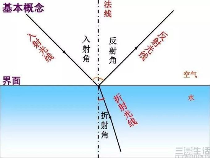 iPhone 11系列拍照翻车?但背后原因还有待确认
