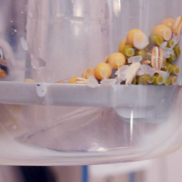 小媳妇入手3in1地面清洁机，减少60%家务，吸拖一体用过直呼真给力