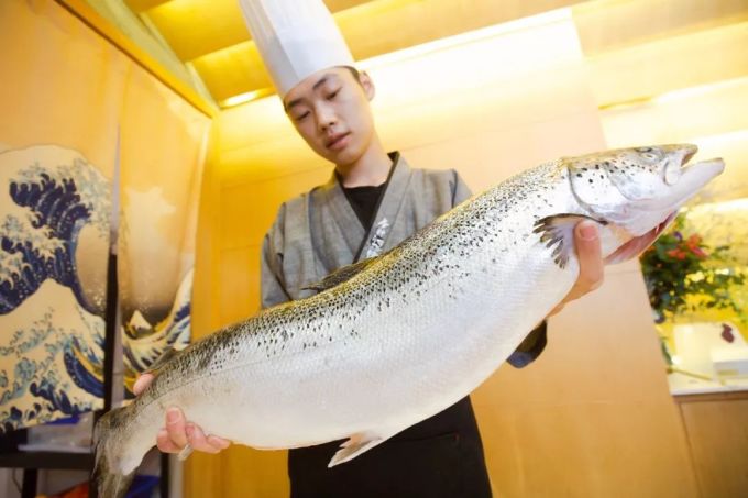 霸王餐免费送!杭州这家超人气的鲷鱼日料店,俘获所有食客的胃