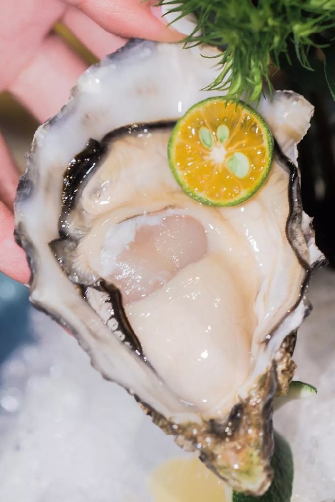 霸王餐免费送!杭州这家超人气的鲷鱼日料店,俘获所有食客的胃