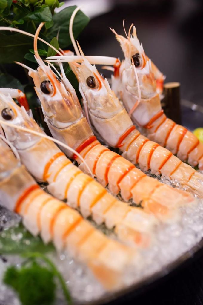 霸王餐免费送!杭州这家超人气的鲷鱼日料店,俘获所有食客的胃