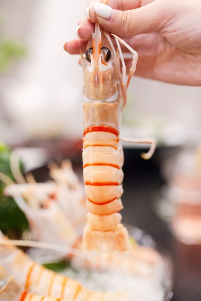 霸王餐免费送!杭州这家超人气的鲷鱼日料店,俘获所有食客的胃