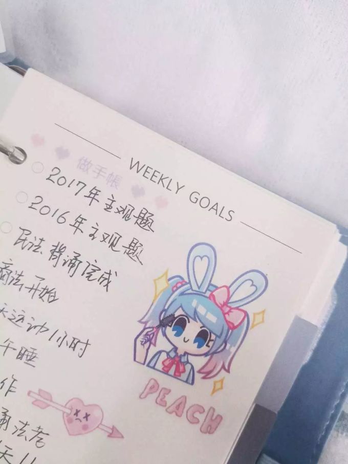 2020年我的手帐本之活页本——NEVER手帐本