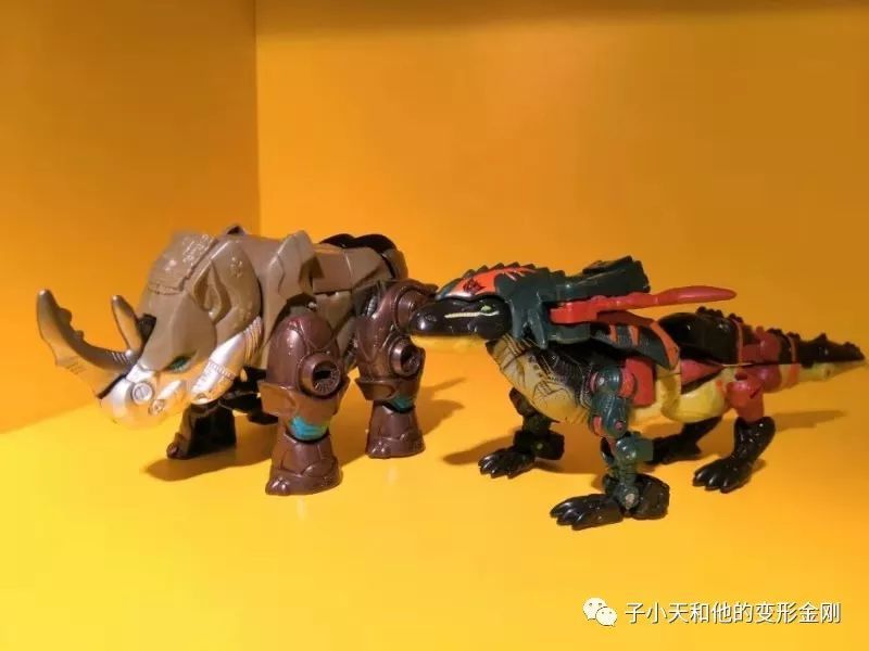 【评玩具】子小天：大果果测评《变形金刚 猛兽侠犀牛&巨蜥！来自狂野大自然的随手小物！》