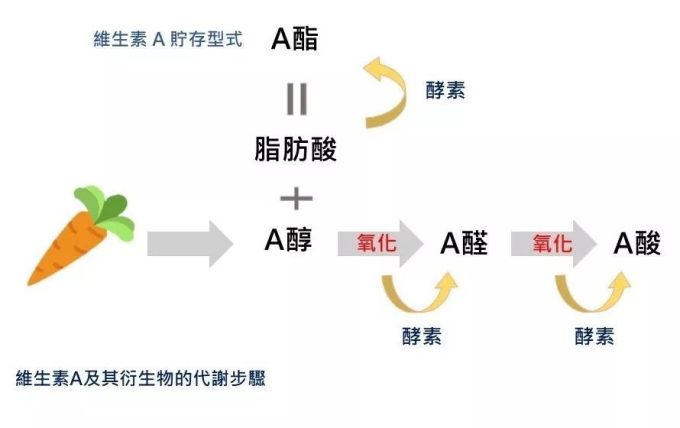 护肤品成分天花乱坠看不懂?我斗胆用18个字总结了