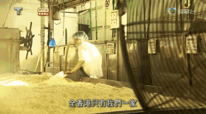 广东土豪:鲍参翅肚,都不如一碗豉油捞饭!