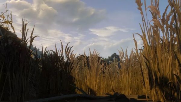 Switch版《巫师3:狂猎》开箱+试玩报告
