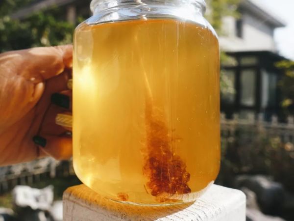 万物皆可干,这些奇葩水果干你绝对没见过!