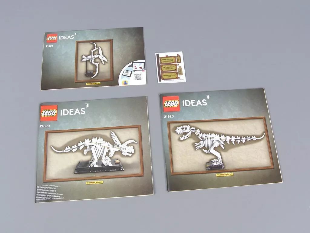 实物测评转，看看这款LEGO Ideas 21320 到底怎样？