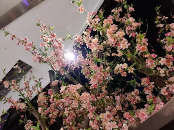 一加7T不只是台手机,也是一加成长的证明