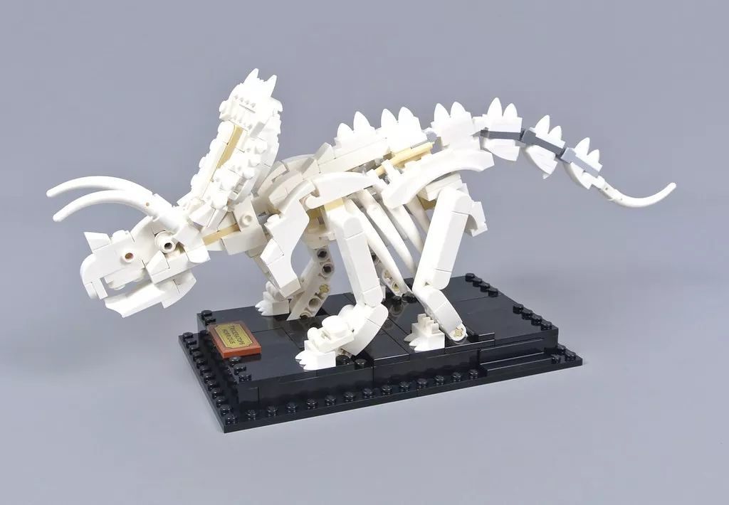 实物测评转，看看这款LEGO Ideas 21320 到底怎样？