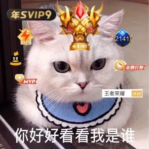 酥七七的小厨房 · 同时满足零食和早餐的扛把子来了!