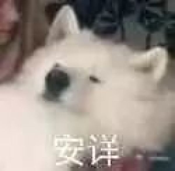 酥七七的小厨房 · 同时满足零食和早餐的扛把子来了!