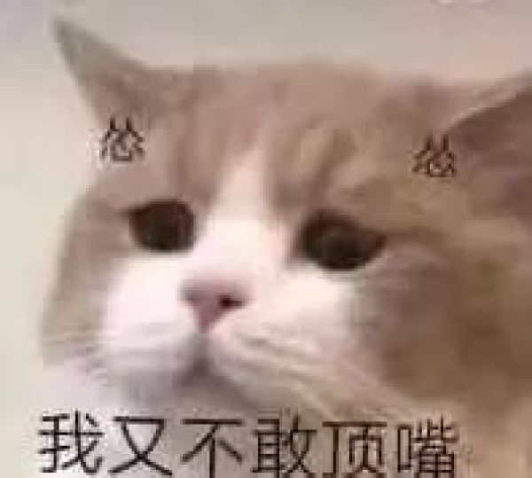 酥七七的小厨房 · 同时满足零食和早餐的扛把子来了!