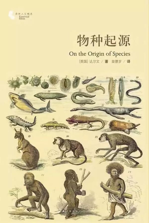 古生物学者写下的《怪物猎人:冰原》猎人笔记