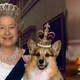 当当周年庆，连英女王与她的狗凑单后都3.几折了，还有什么理由不买买买？