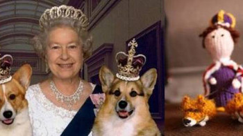 当当周年庆，连英女王与她的狗凑单后都3.几折了，还有什么理由不买买买？