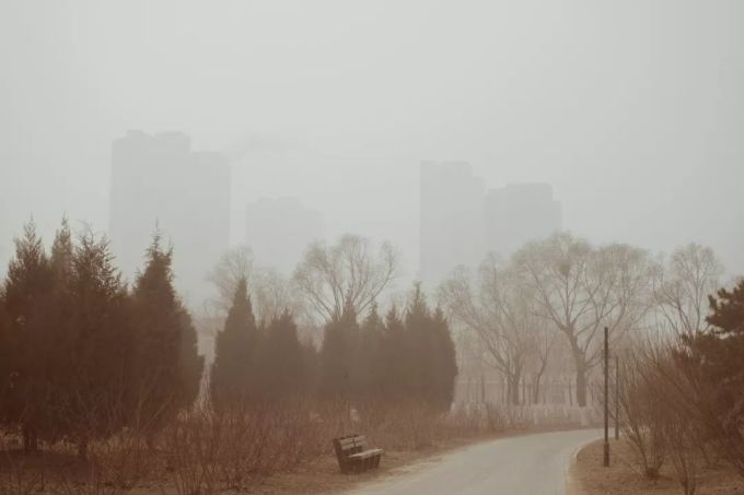 那些曾经「逃离广州」的人,现在过得怎么样?