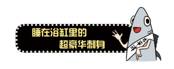刺身之王「蓝鳍金枪鱼」,吃一口就回本!