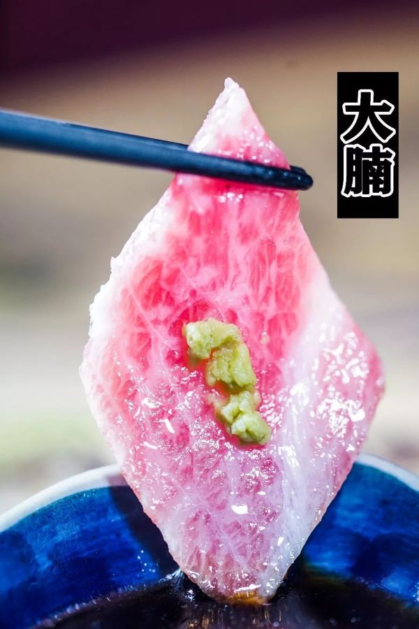 大腩.jpg 刺身之王「蓝鳍金枪鱼」,吃一口就回本!