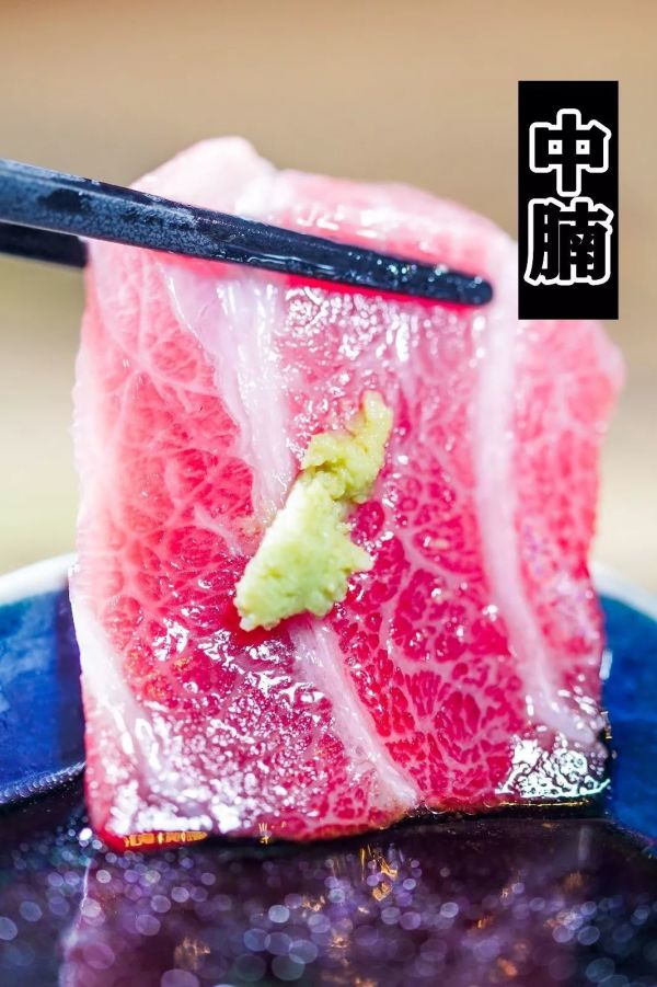 中腩-1.jpg 刺身之王「蓝鳍金枪鱼」,吃一口就回本!