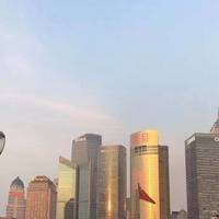 东航1117一周年纪念：缅怀我的豪头上海喂鸽子之旅