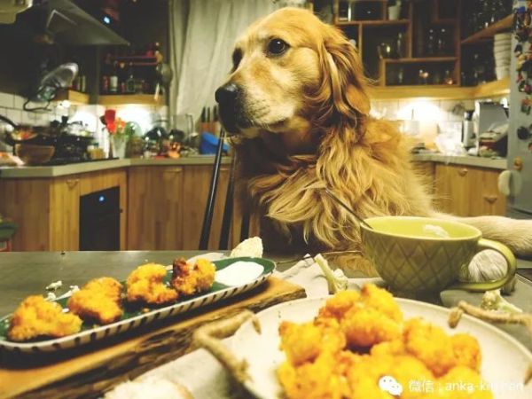 如何不用油炸的方式去复刻油炸物的酥脆感?【安卡西厨】