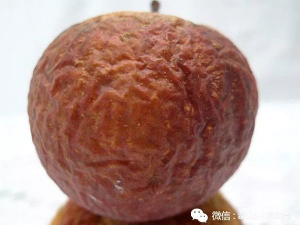 毫不费力就能完成的德式甜品——果酱馅烤苹果