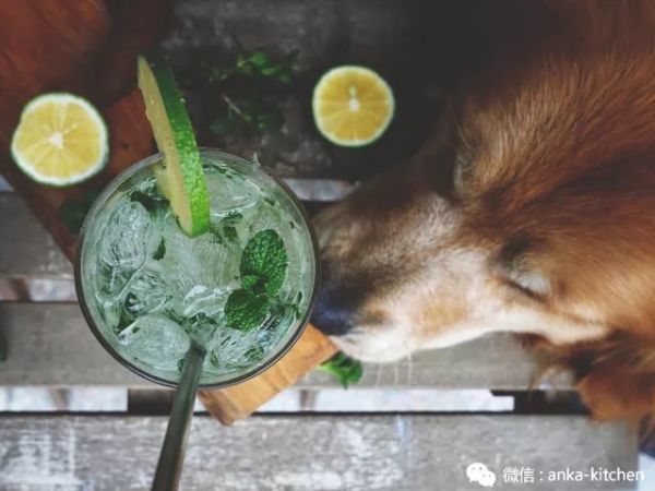 用我私人珍藏的配方,教你怎么调莫吉托Mojito