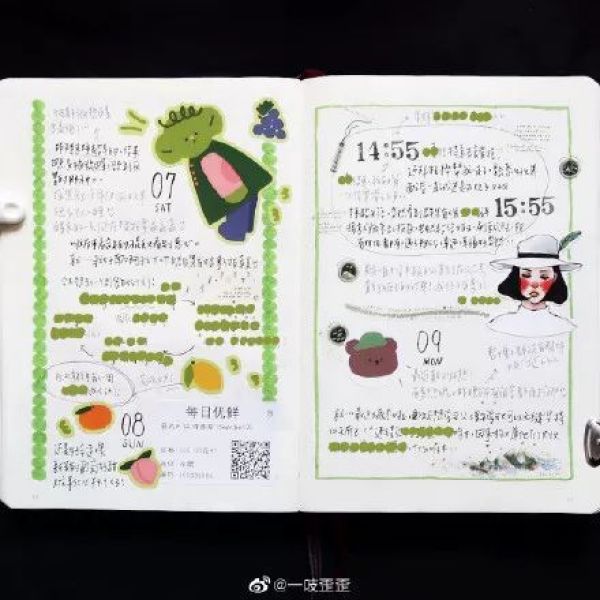 2020年你应该入这几本手帐本!