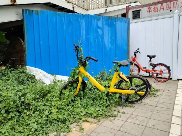 NEX 3 5G 版站在未来与现实的交汇点,以创新力为自身披坚执锐