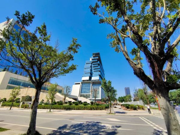 NEX 3 5G 版站在未来与现实的交汇点,以创新力为自身披坚执锐
