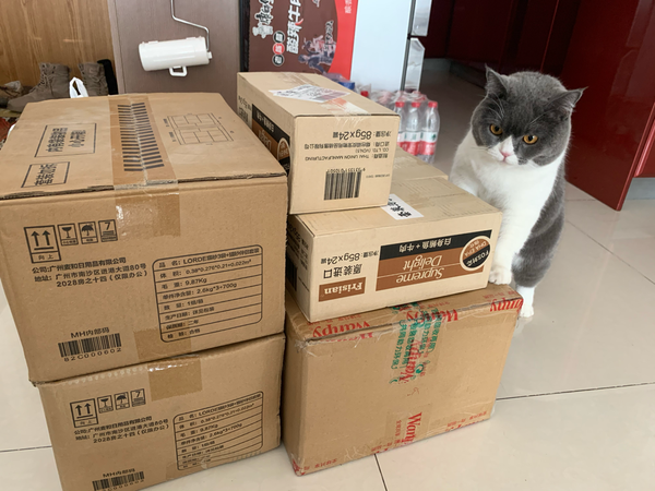 给猫主子存冬粮