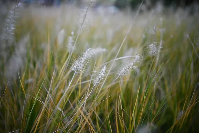 广阔锐利新视界 尼克尔 Z 24mm f/1.8S评测