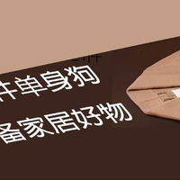 租房也是家 篇二：21件单身狗必备居家好物，一个人也要好好过，石崎秀儿小蜗牛挂烫机值得选择！