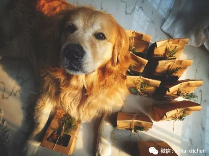 老板娘首次出镜给你们送心心念念的圣诞糕点礼盒啦!快来饱个眼福【安卡西厨】