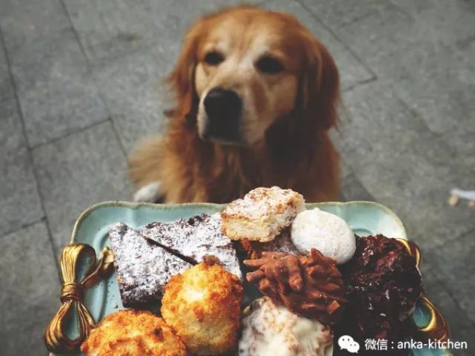 老板娘首次出镜给你们送心心念念的圣诞糕点礼盒啦!快来饱个眼福【安卡西厨】