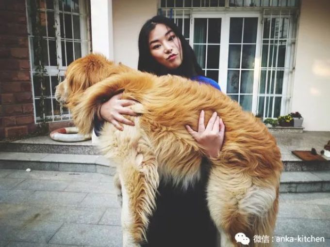 老板娘首次出镜给你们送心心念念的圣诞糕点礼盒啦!快来饱个眼福【安卡西厨】