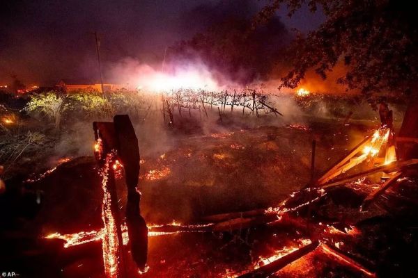 加州酒乡再遇大火,纳帕、索诺玛葡萄园再次成为重灾区