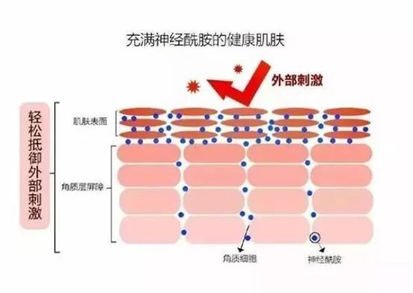 不超200元,搞定干皮沙漠皮的秋冬保湿