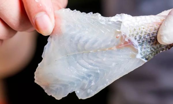 您的『严厨老坛酸菜鱼』已更新升级,请收下这一口酸爽好滋味!