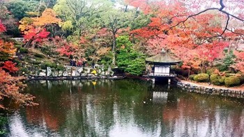 下一站，和歌山！ 篇六：日本赏红叶的好去处--和歌山城 