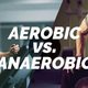 健身房举铁 VS 40分钟有氧运动，两者减脂差距有多大？