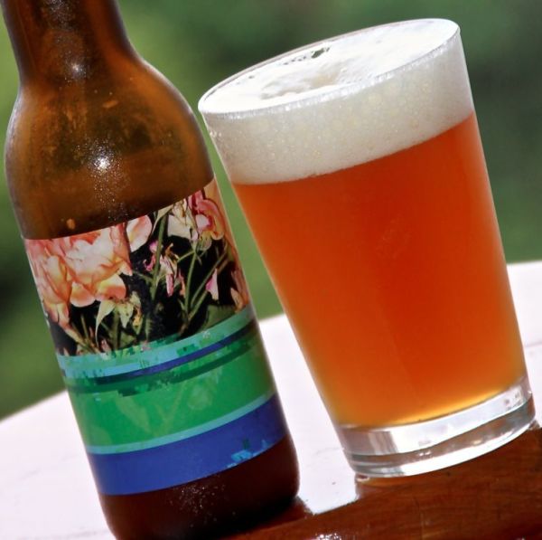 馆主酒评第58期:图乐 濒临愚蠢 帝国IPA