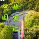 徐家汇公园（这座公园鸟语花香，就在徐家汇正中央）人与黑天鹅自然和谐相处