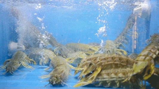 新地标!杭州第①海拔诞生! 就在来福士!